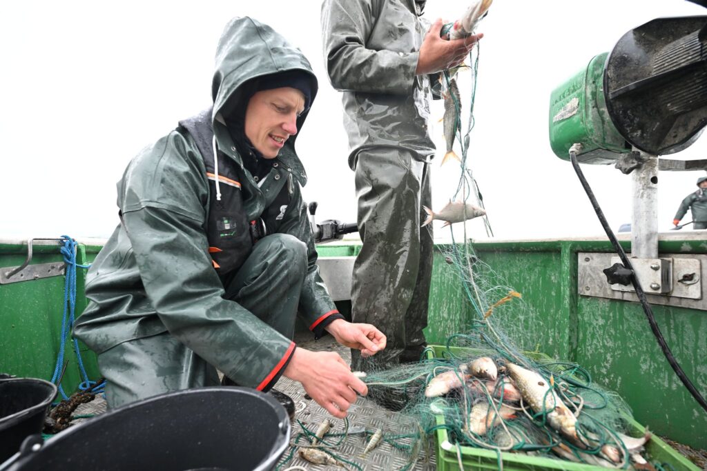 Fisch-Bestandsaufnahme im Bodensee
