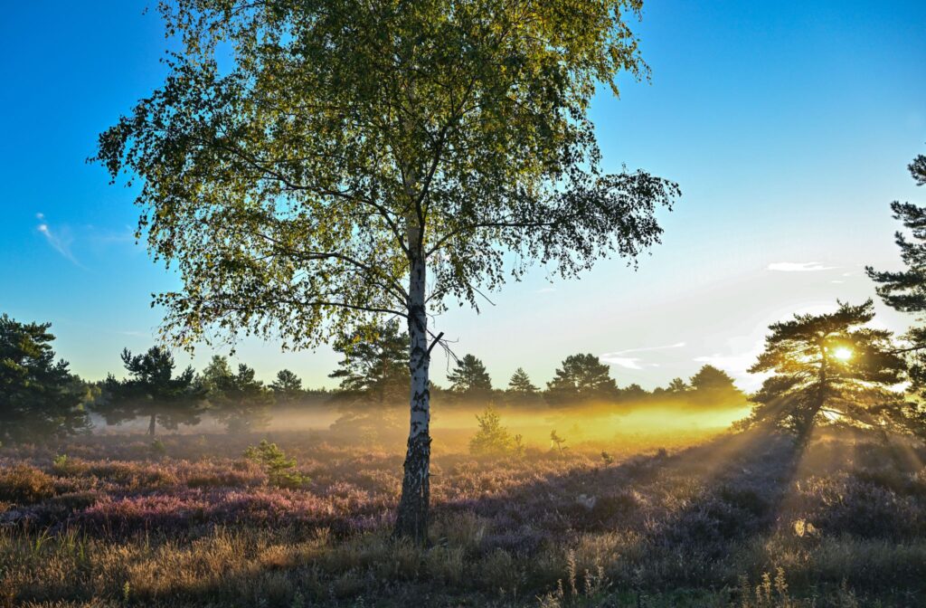 Tourismus in Brandenburg: Buchungslage in den Herbstferien «sehr