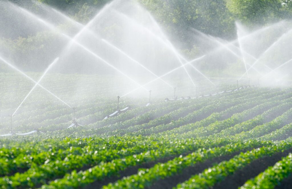 Wasser sparen