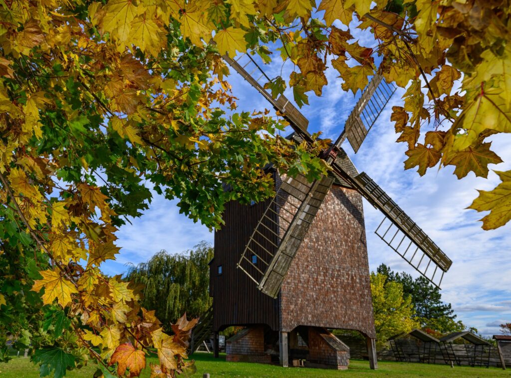 Die letzte Windmühle im Oderbruch