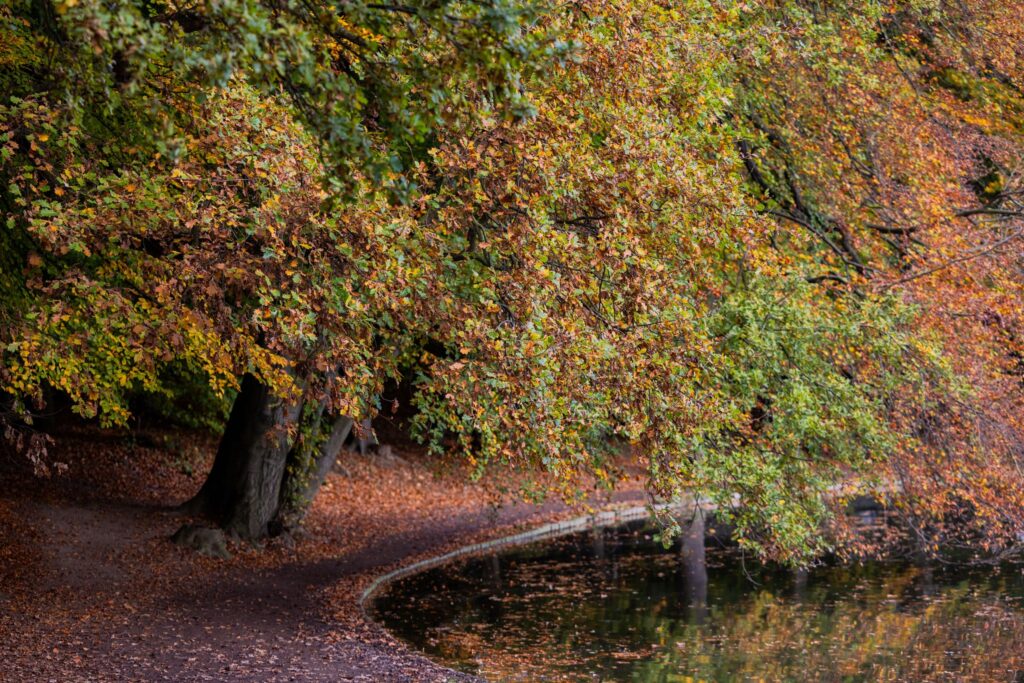 Herbst in Köln