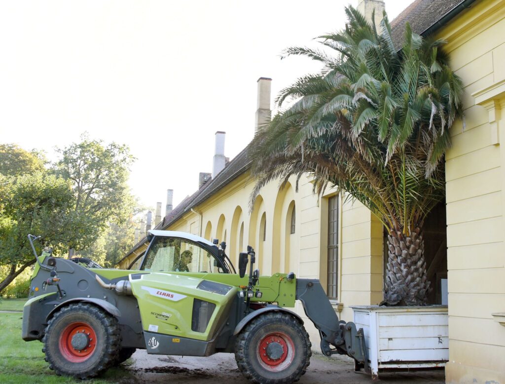 Gartenreich Dessau-Wörlitz