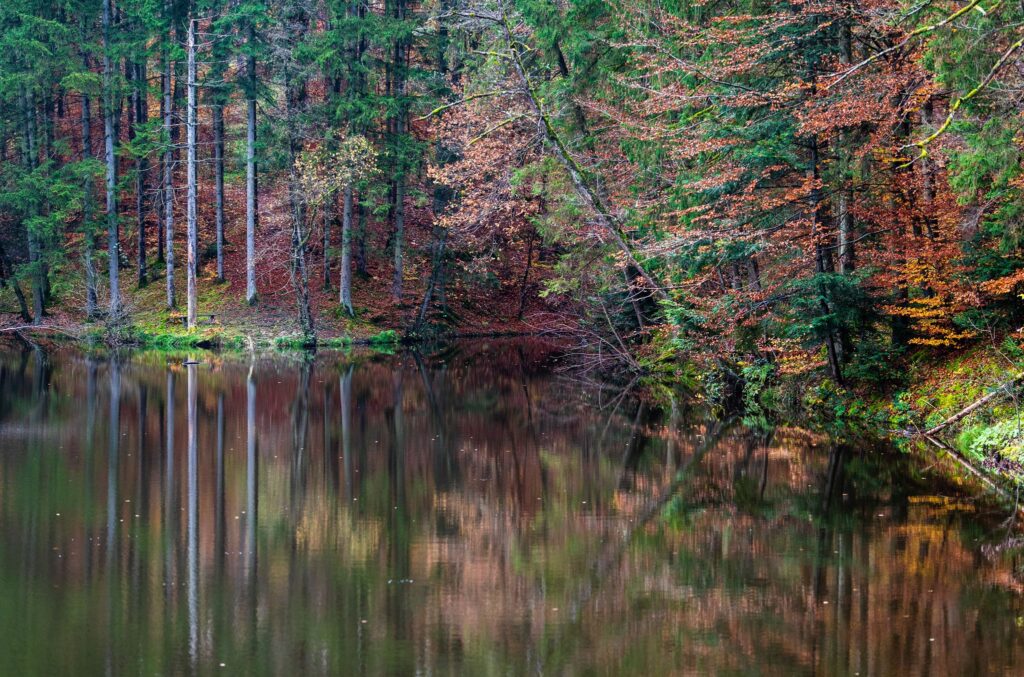 Herbststimmung am Linsenholzsee