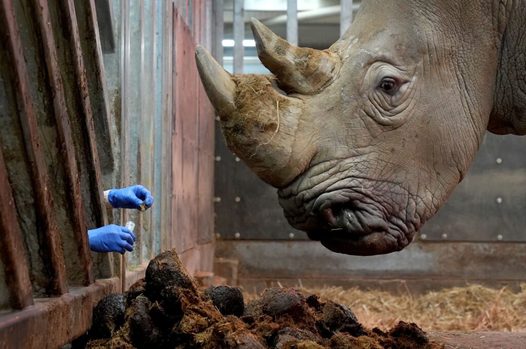 Inventur im Zoo