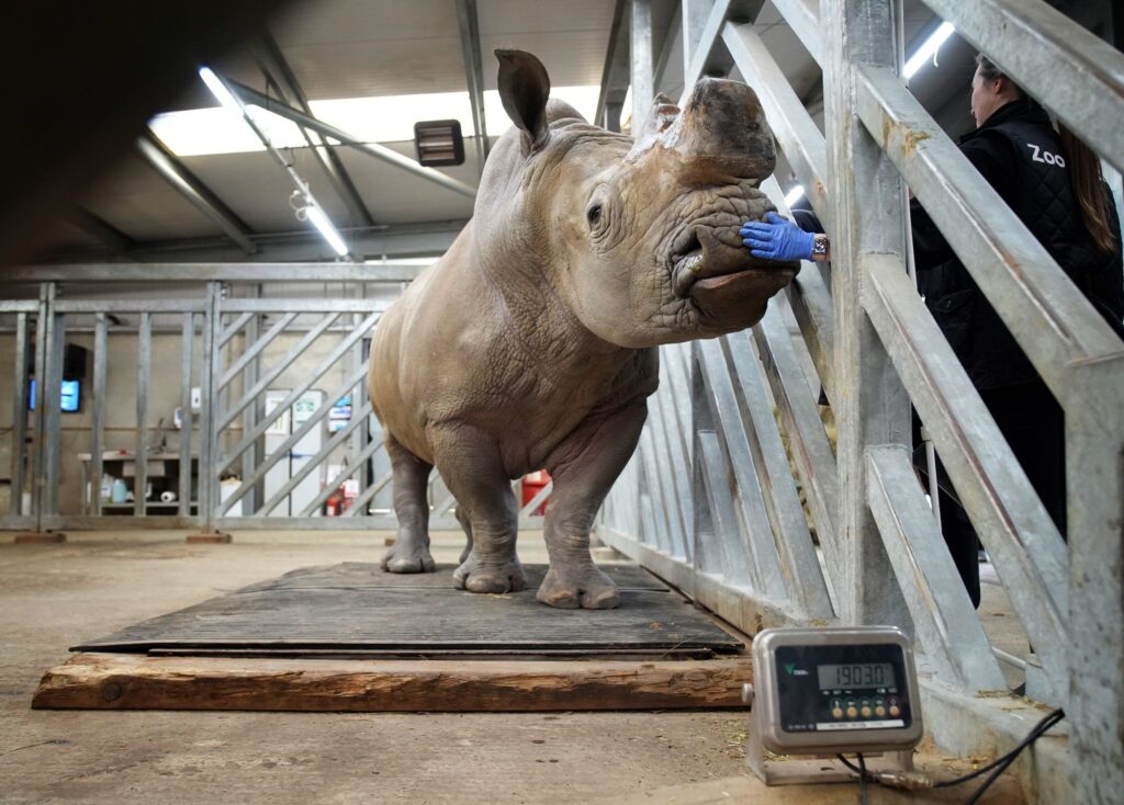 Inventur im Zoo