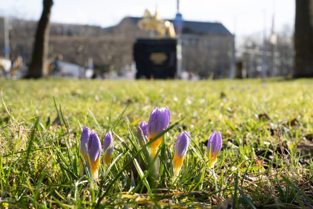 Frühling in Sachsen