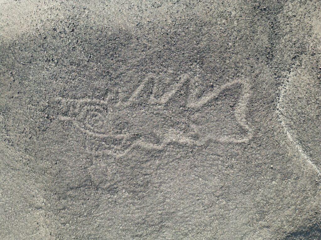 Neue Nazca Bilder in Peru entdeckt
