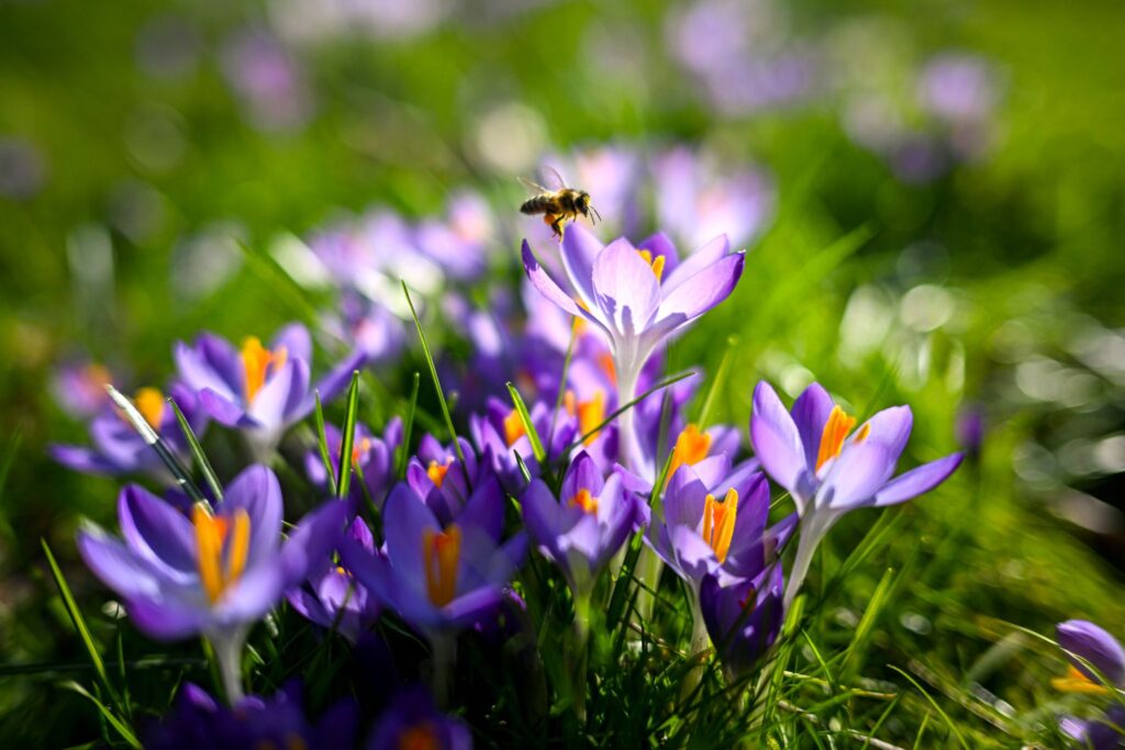Wettter in Oldenburg