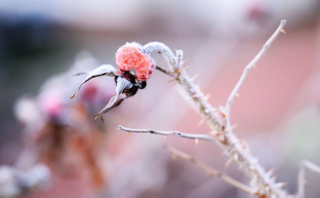 Winter in Niedersachsen - Wetter