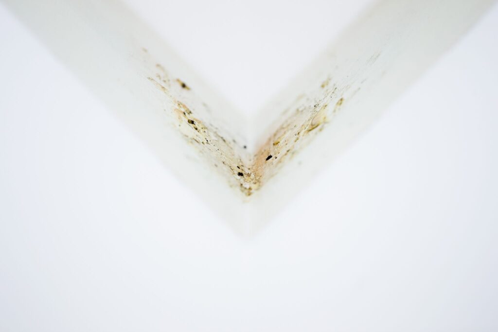 Kunstakademie Düsseldorf