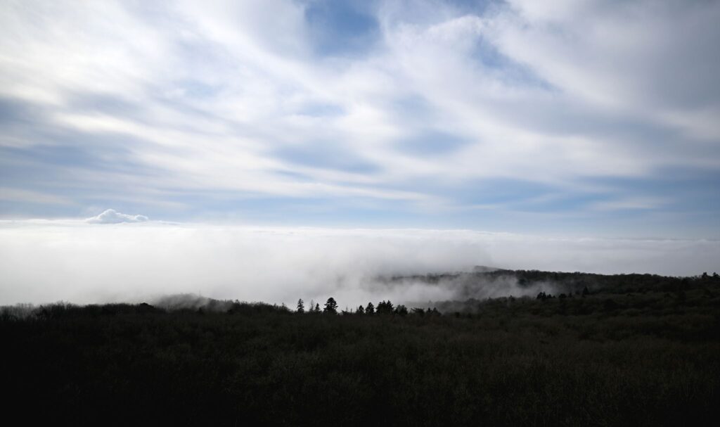 Nebel über dem Taunus
