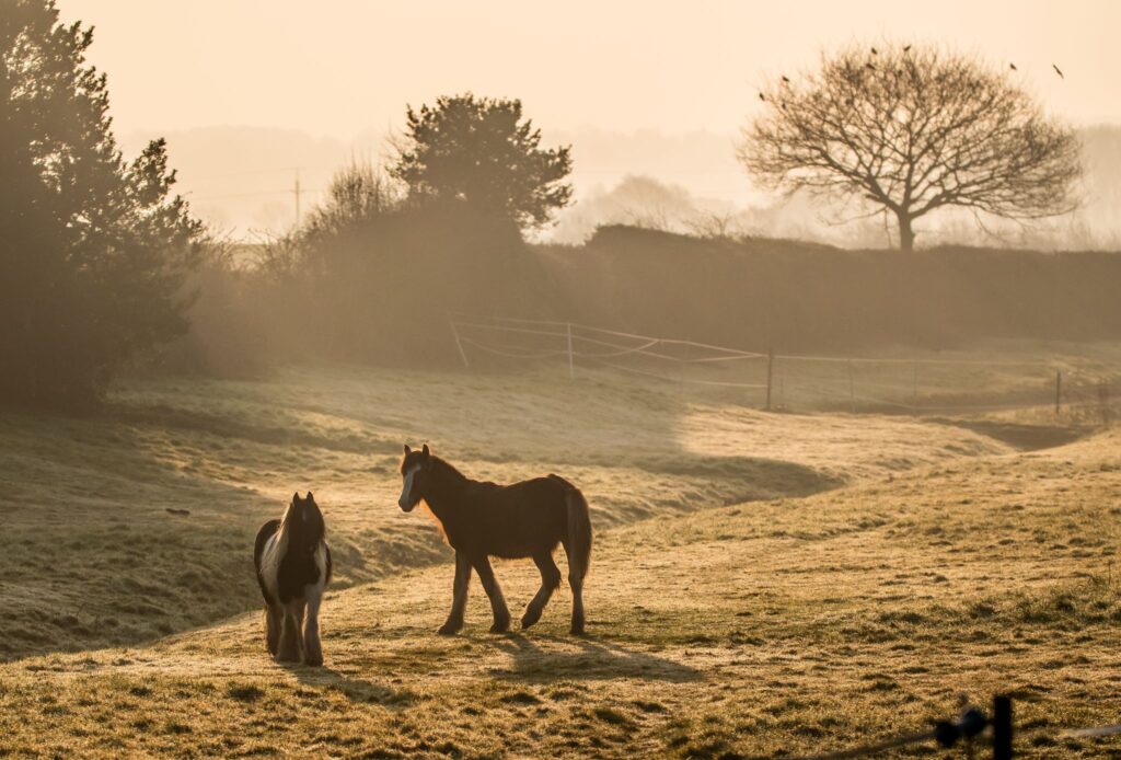 Sonnenaufgang in Yorkshire