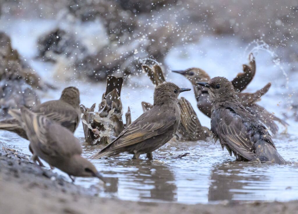Wetter in Brandenburg
