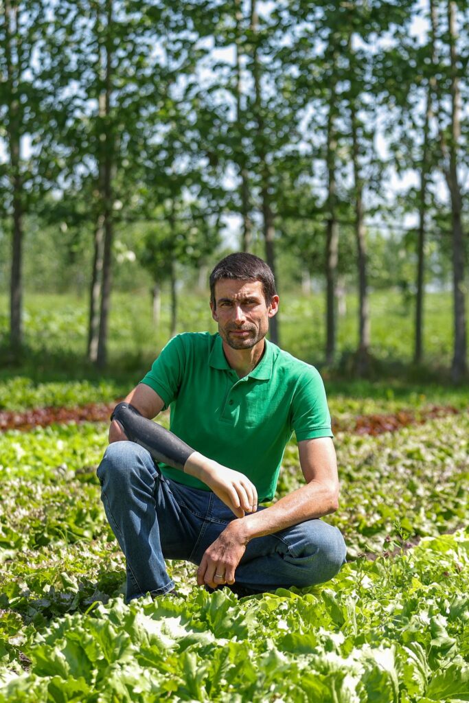 Agroforst – Mischung aus Bäumen und Kulturpflanzen