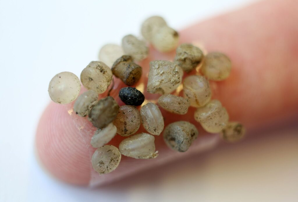 Erste Gewässerprobe auf Mikroplastik in Thüringen