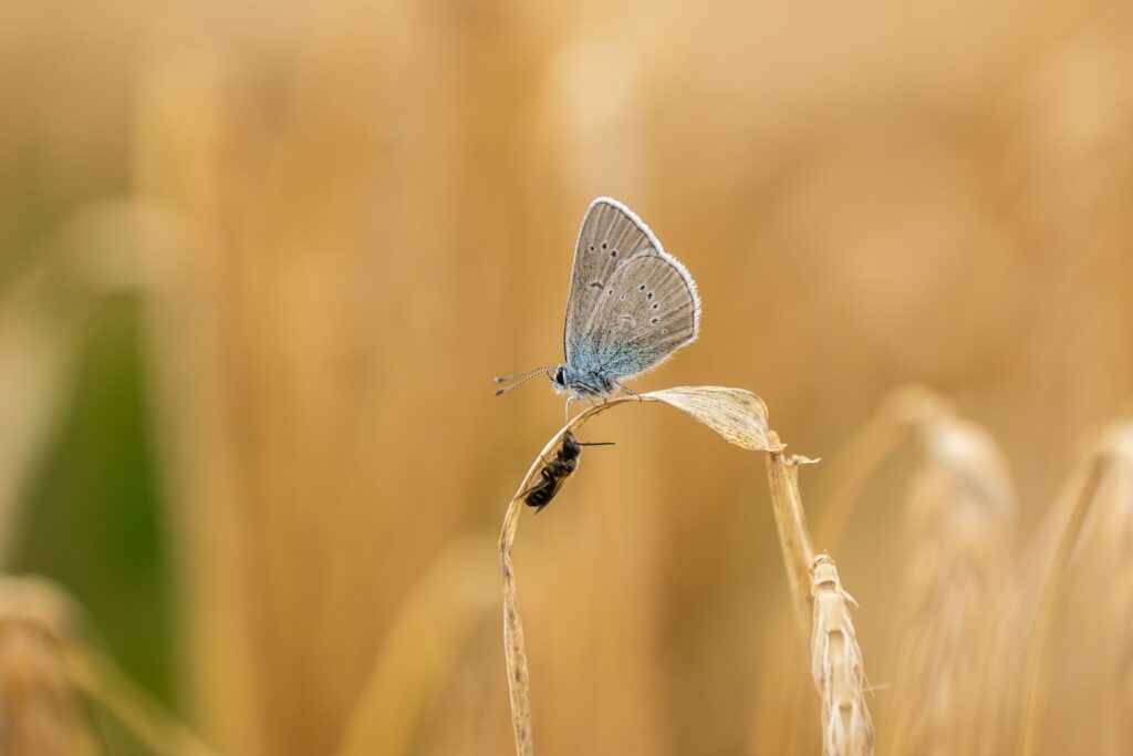 Wetter in Baden-Württemberg