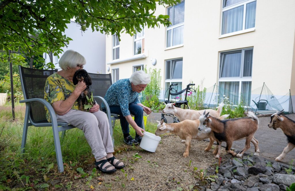 Tiere im Seniorenheim