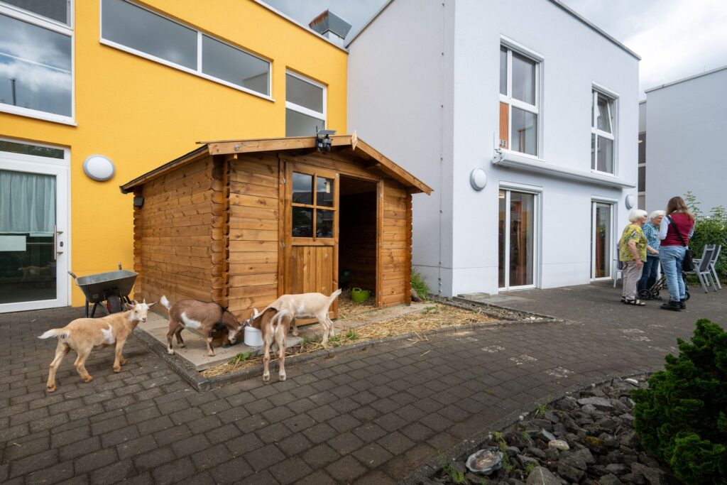 Tiere im Seniorenheim