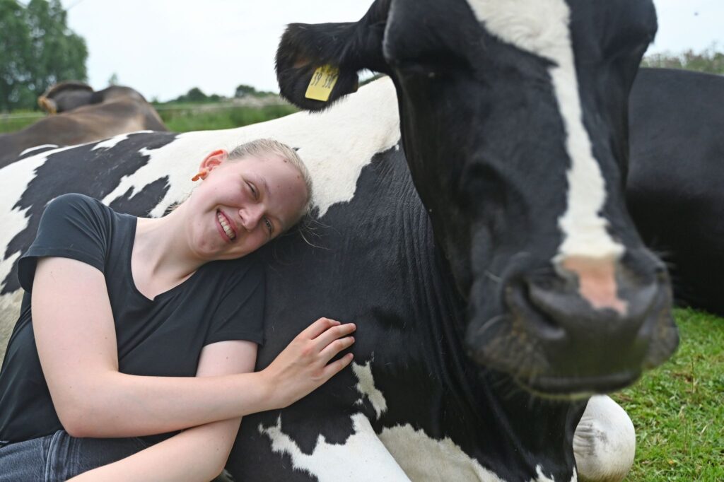 Kuh-Kuscheln beim Hof Lüttje Drööm in Jevenstedt