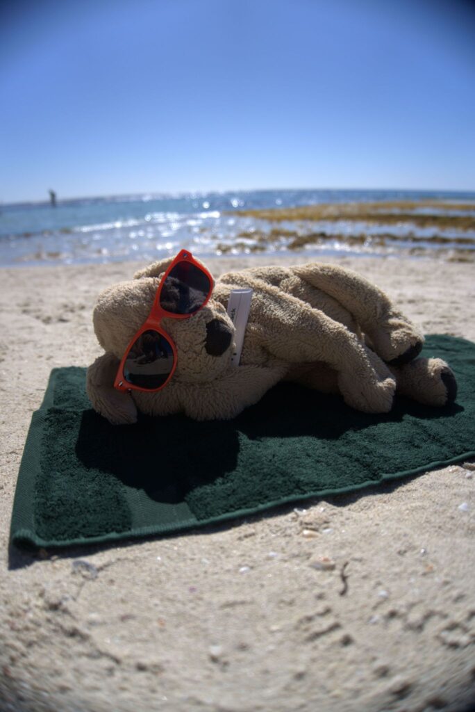 Plüschhund «Jack» in Australien
