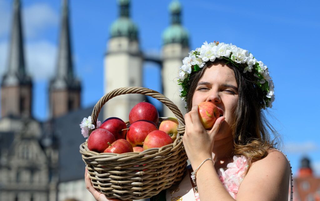 Sachsen-Anhalt startet in die Apfelsaison