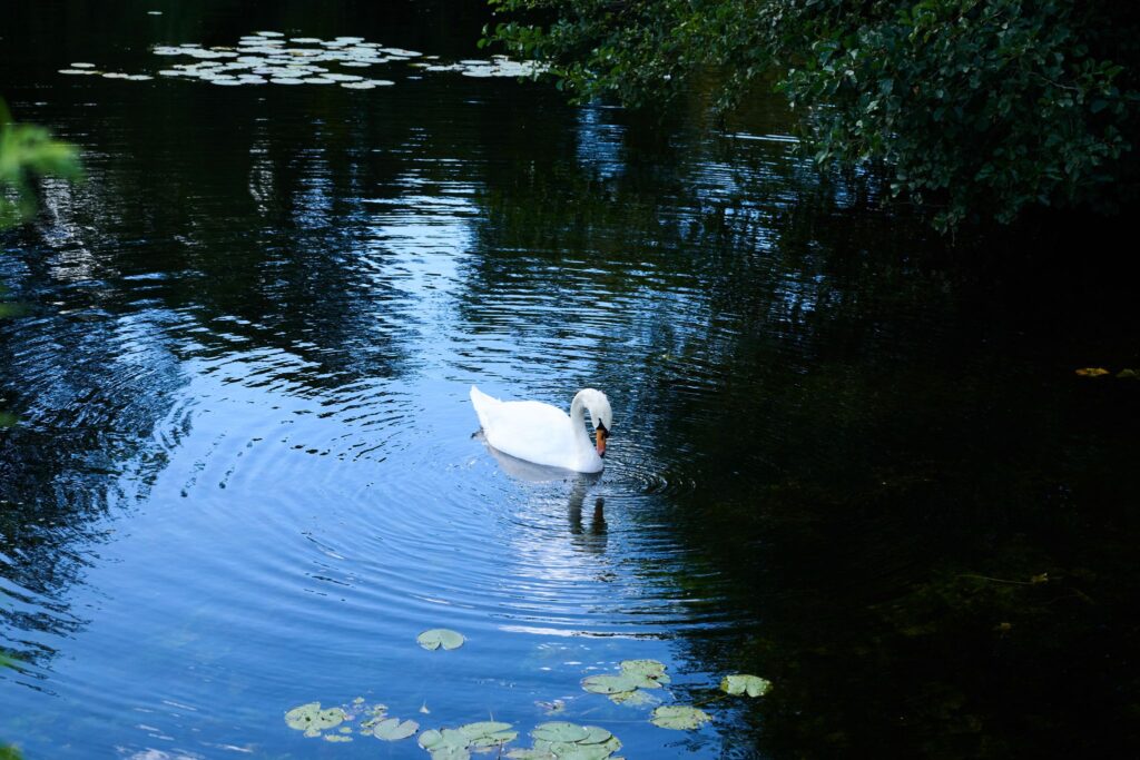 Sonniges Wetter in Berlin-Spandau
