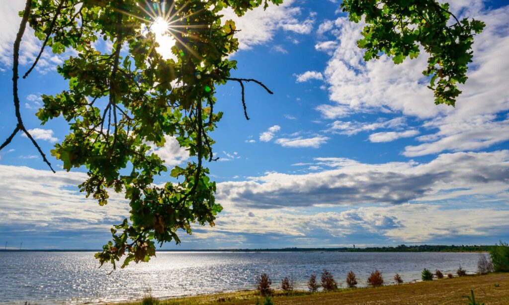 Herbstliche Stimmung am Cottbuser Ostsee