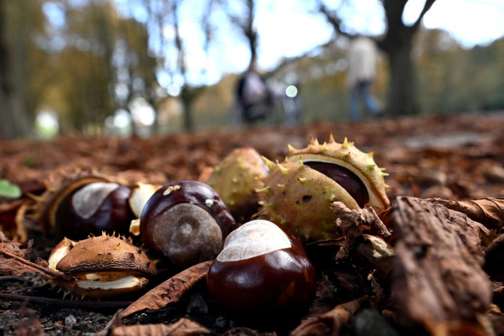 Windiges  Wetter in Nordrhein-Westfalen