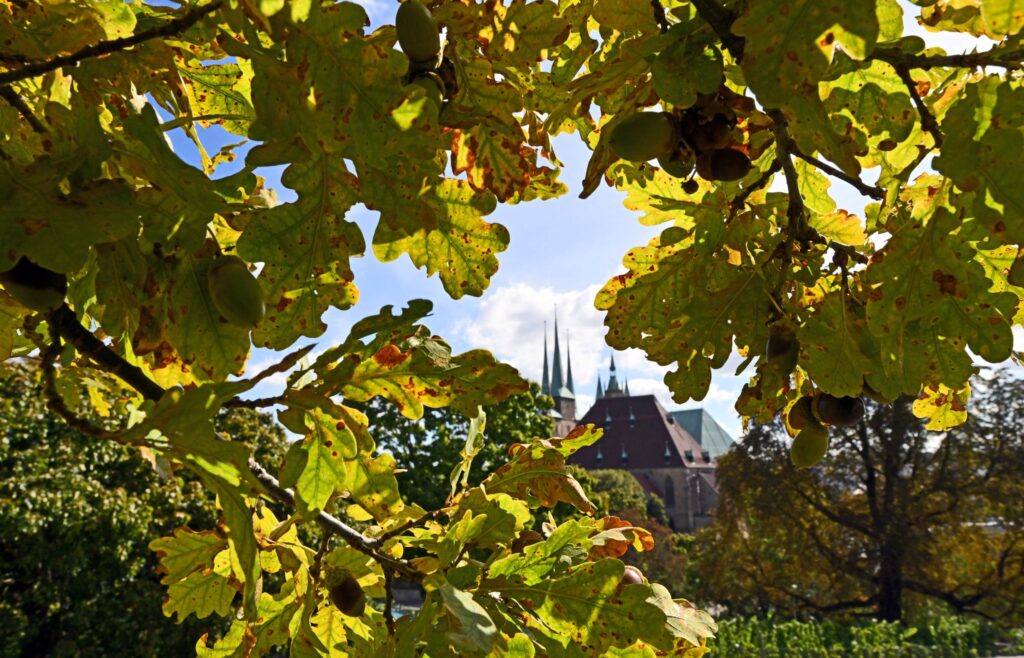 Herbstwetter in Thüringen