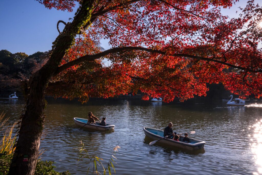 Wetter in Japan