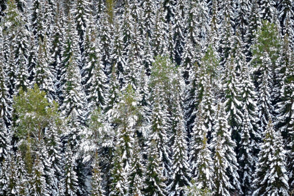 Schnee in Niedersachsen