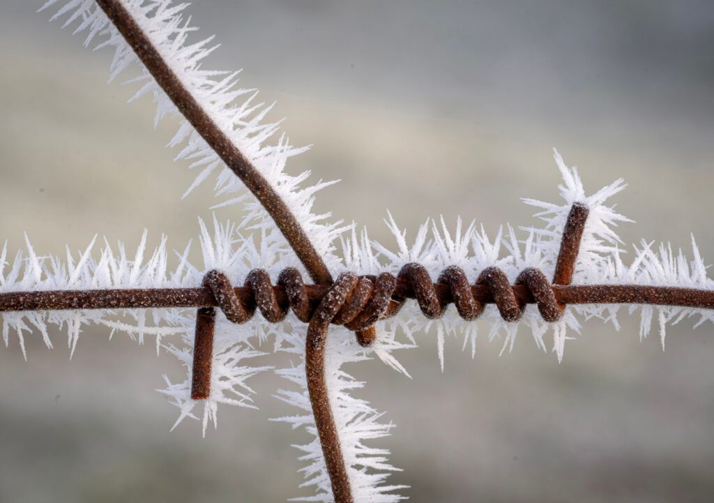 Frost
