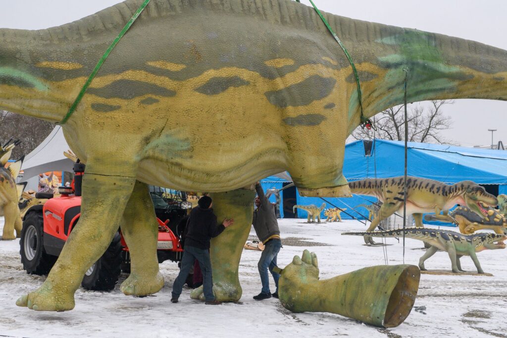Aufbau Dinosaurier-Ausstellung