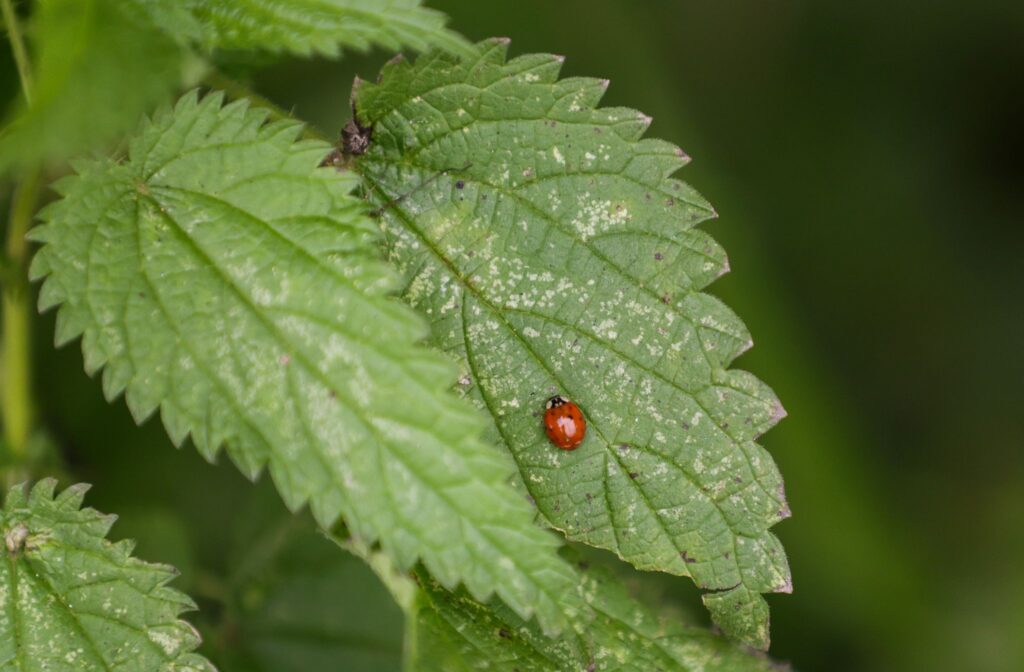 Wetter in Baden-Württemberg