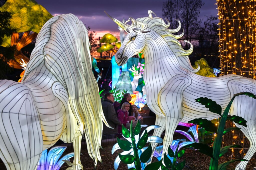Magische Lichterwelten im Zoo Halle