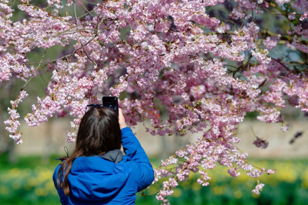 Wetter in Baden-Württemberg
