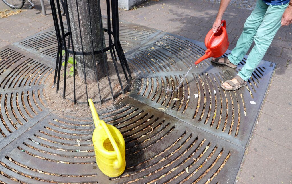 «Gieß den Kiez» - Bürger gießen Straßenbäume