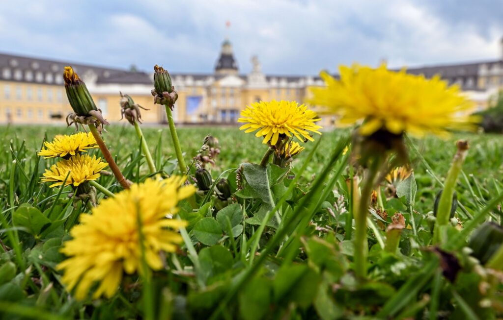Wetter in Baden-Württemberg