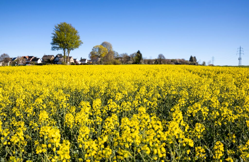 Freundliches Frühlingswetter