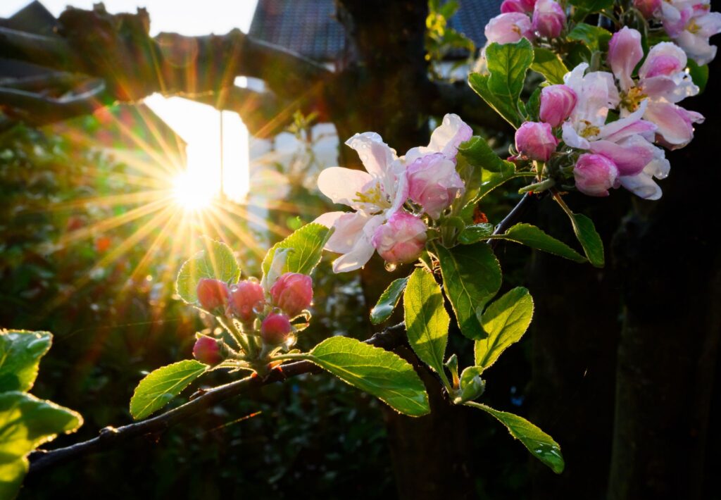 Frühling