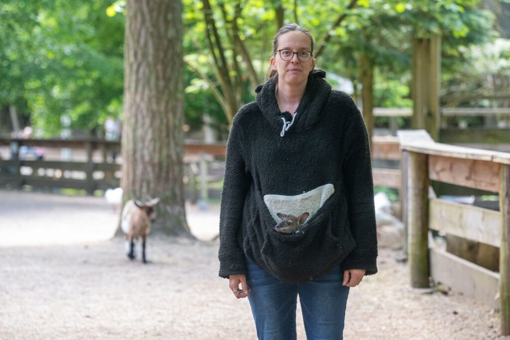 Tierpark-Chefin zieht Känguru-Baby im Pulli auf