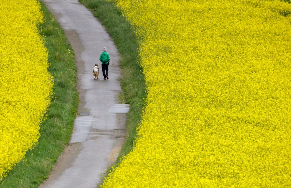 Wetter in Baden-Württemberg