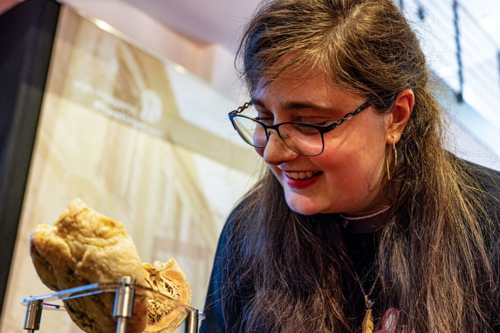 Gubener Plastinate und Plastinarium