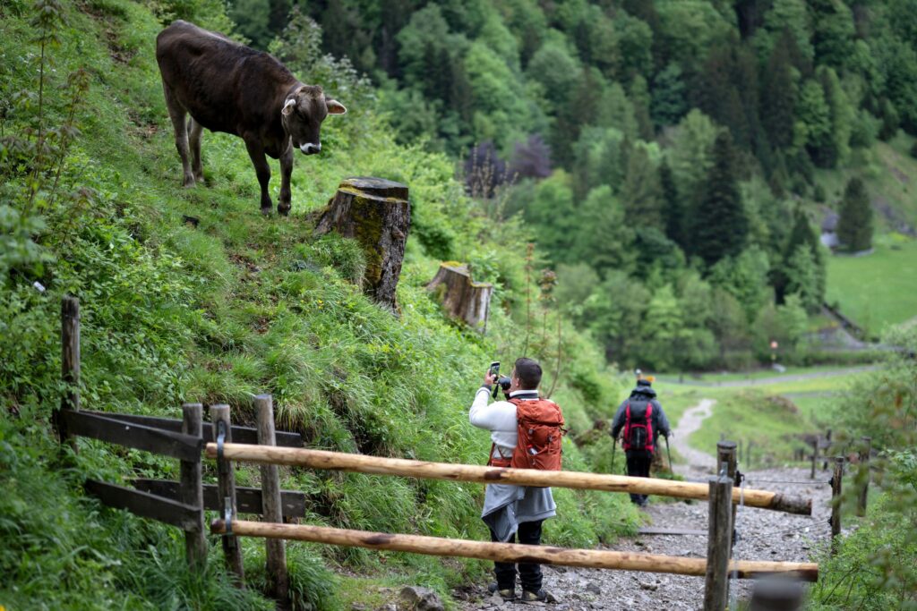 Wetter in der Schweiz