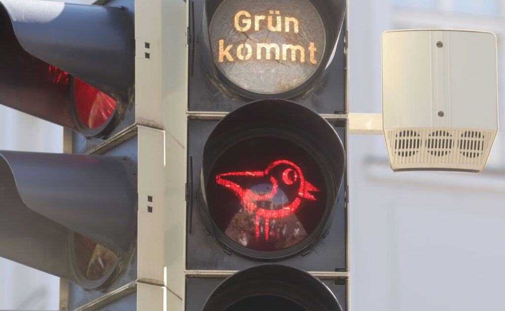 Präsentation der 