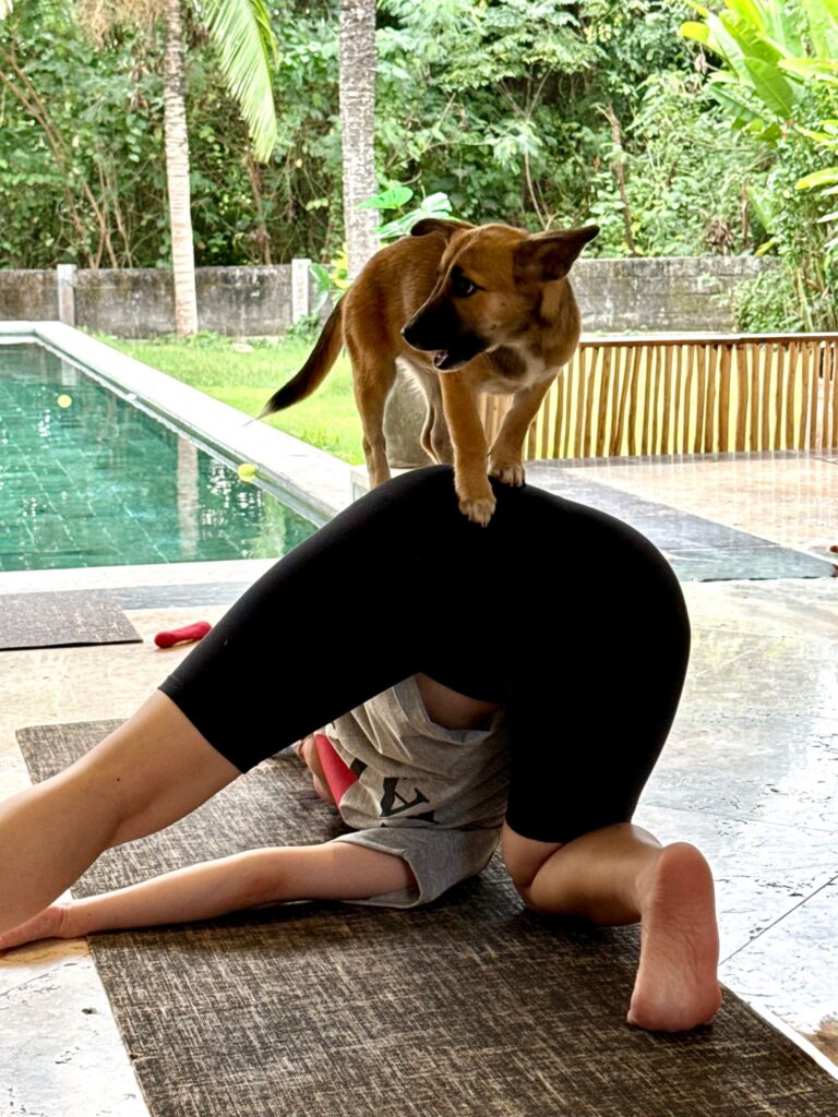 Wellness-Trend Puppy Yoga