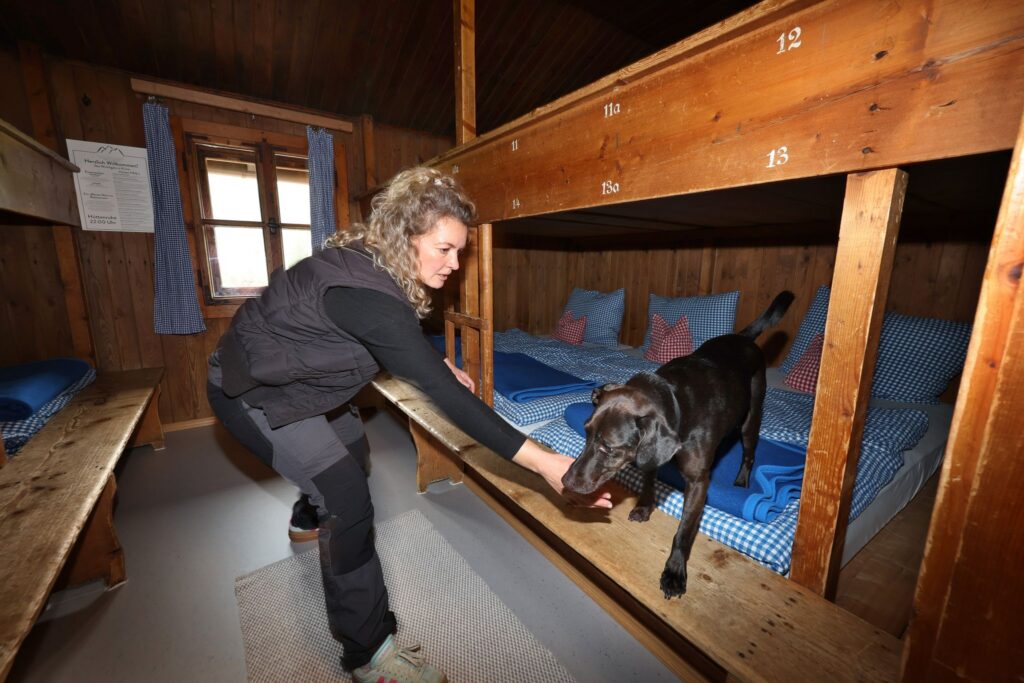Wanzen-Spürhund sucht Hüttenbetten ab