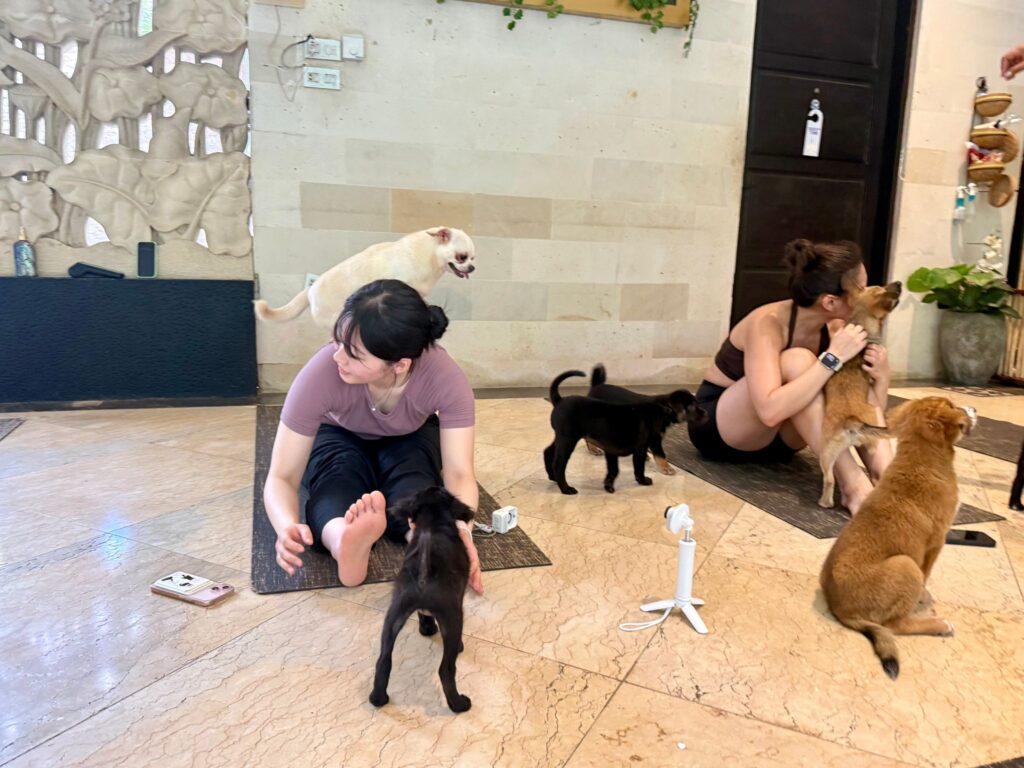 Wellness-Trend Puppy Yoga