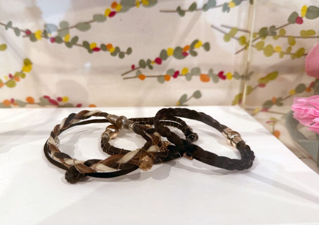 Sonderausstellung «Wohin mit dem Hund?»