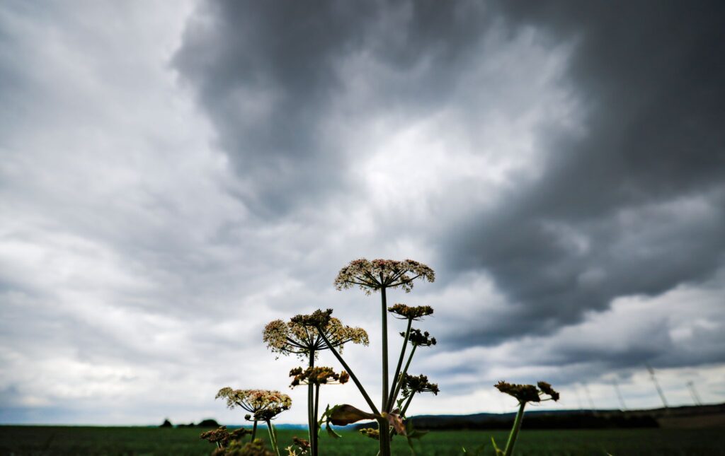 Wetter in Nordrhein-Westfalen